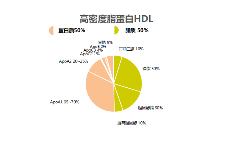检查血脂为什么要查载脂蛋白